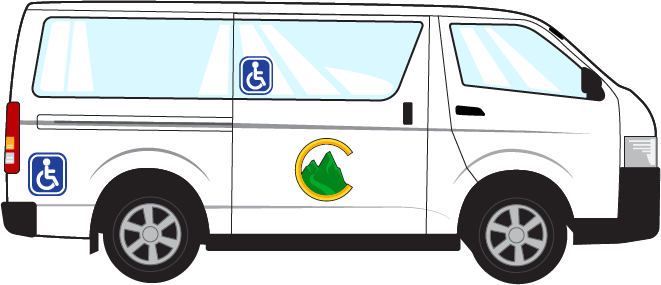 Cartoon van personalised care